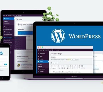 WordPress website design; a professional choice for SEO
