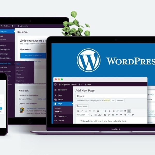 WordPress website design; a professional choice for SEO